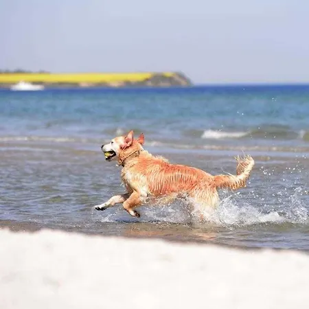 Urlauberdorf 47a Boltenhagen (Ostseebad)